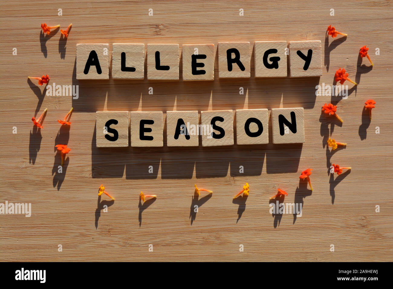 Allergy Season, words in 3d wooden alphabet flowers with fresh orange