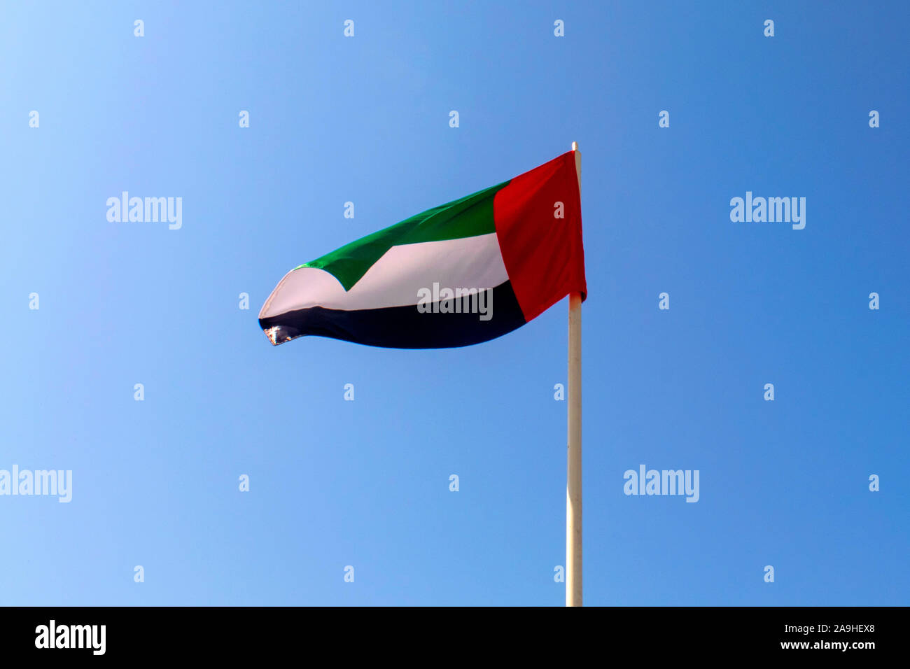 United Arab Emirates flag waving on blue sky background. Close up, isolated. UAE flag. Emirates national day. Flag day Stock Photo