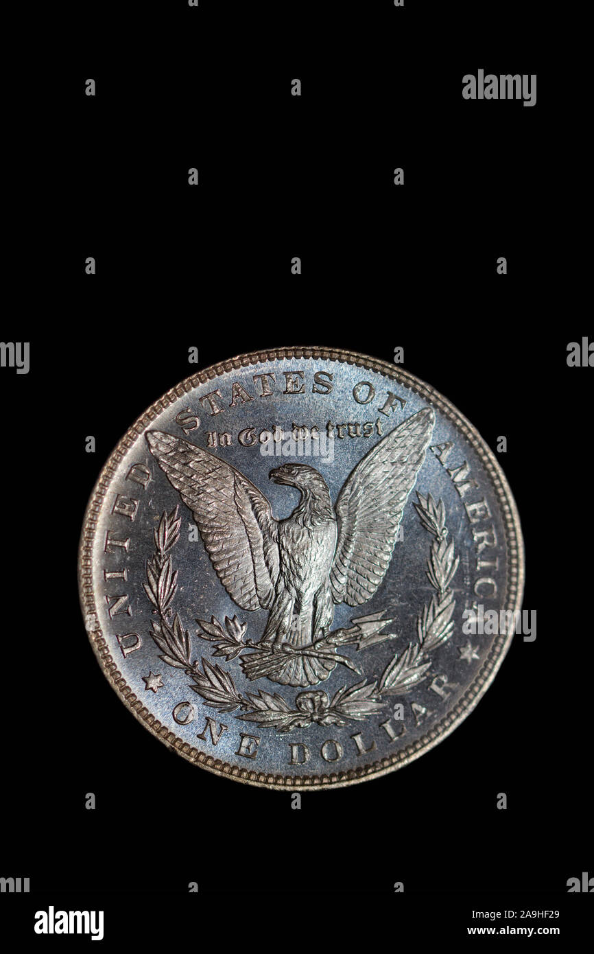 Reverse Eagle of Uncirculated Morgan Silver Dollar against black background Stock Photo