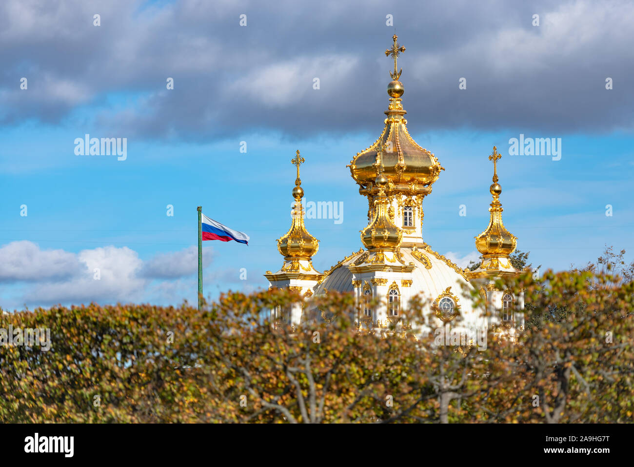 Golden domes. Temple behind the grove with bright domes and tricolor. The Town Of Peterhof. Stock Photo
