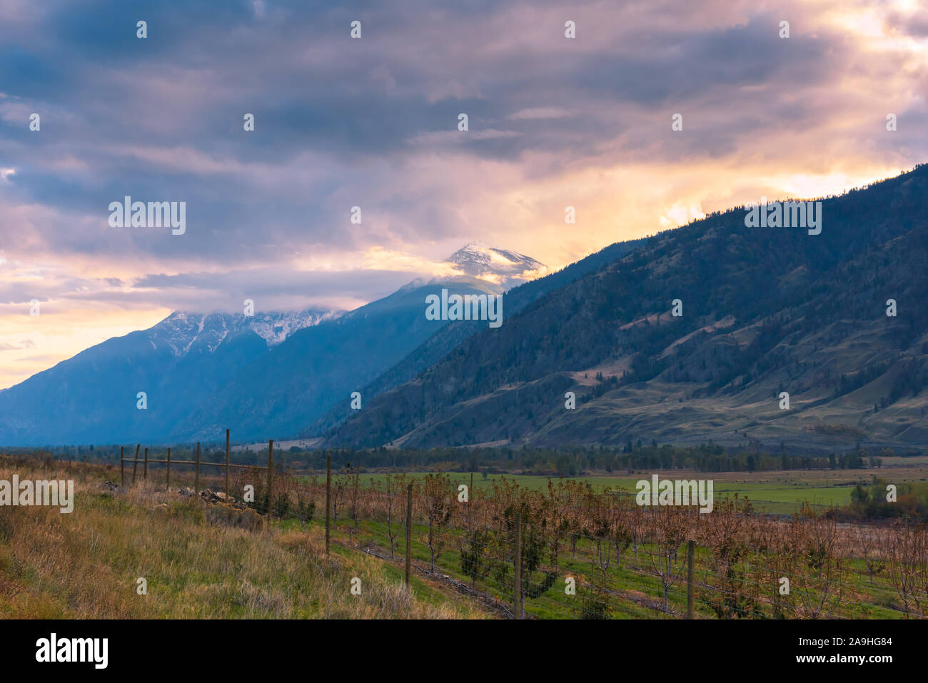 View from Crowsnest highway of autumn valley with view of snowcapped