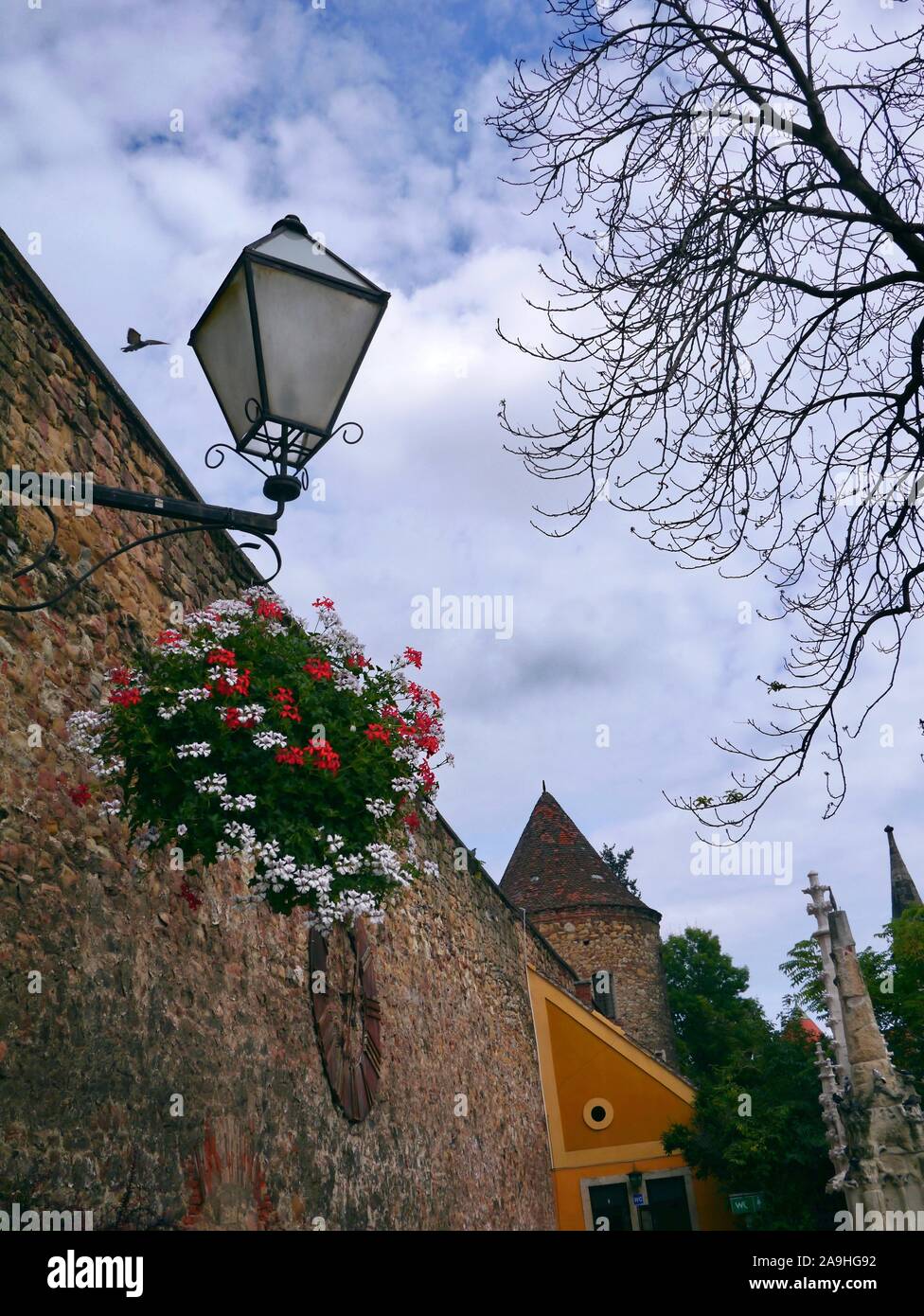 Flower pot hanging from a lamp and old clock on the wall, Zagreb, Croatia Stock Photo