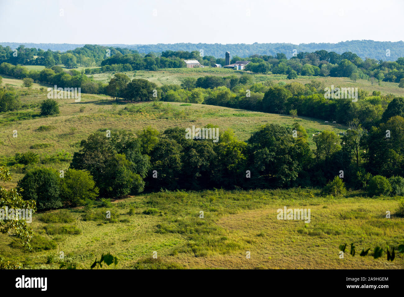 Baker Bluff Overlook Natchez Trace Parkway Mississippi MS also known as ...