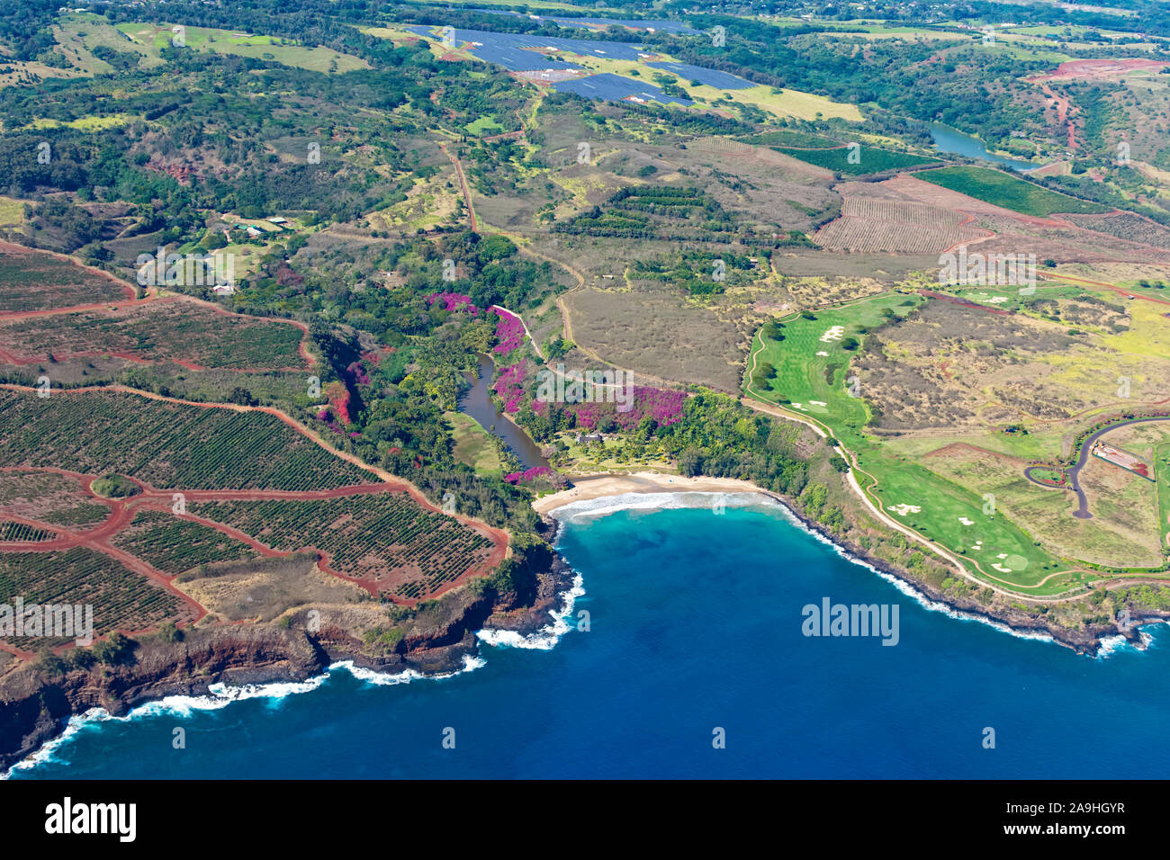 Hawaiian Coffee Plantation High Resolution Stock Photography and Images
