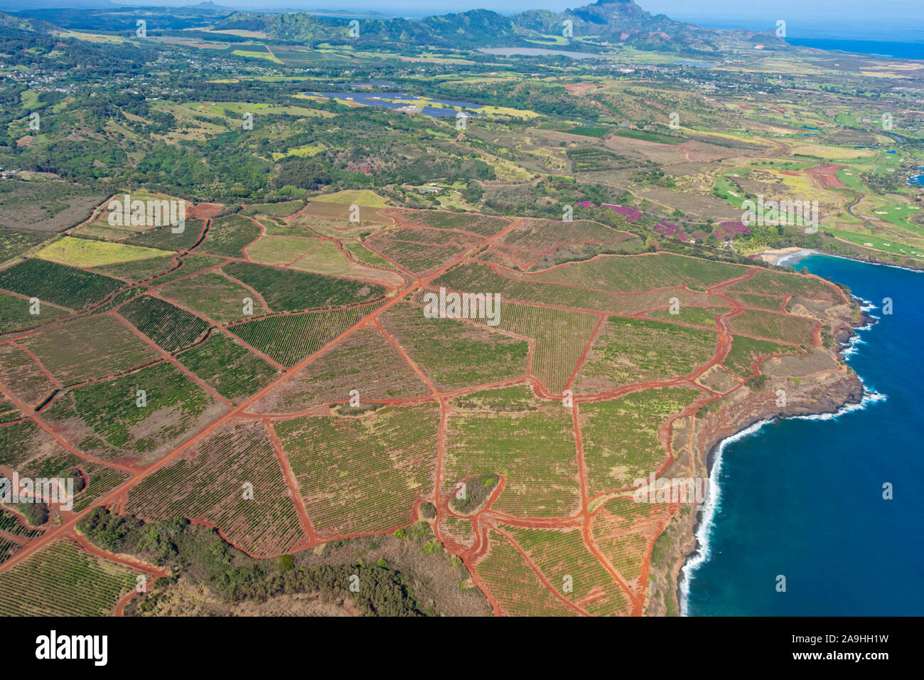 Aerial view of Kauai south coast showing coffee plantations near Poipu Kauai Hawaii USA Stock Photo