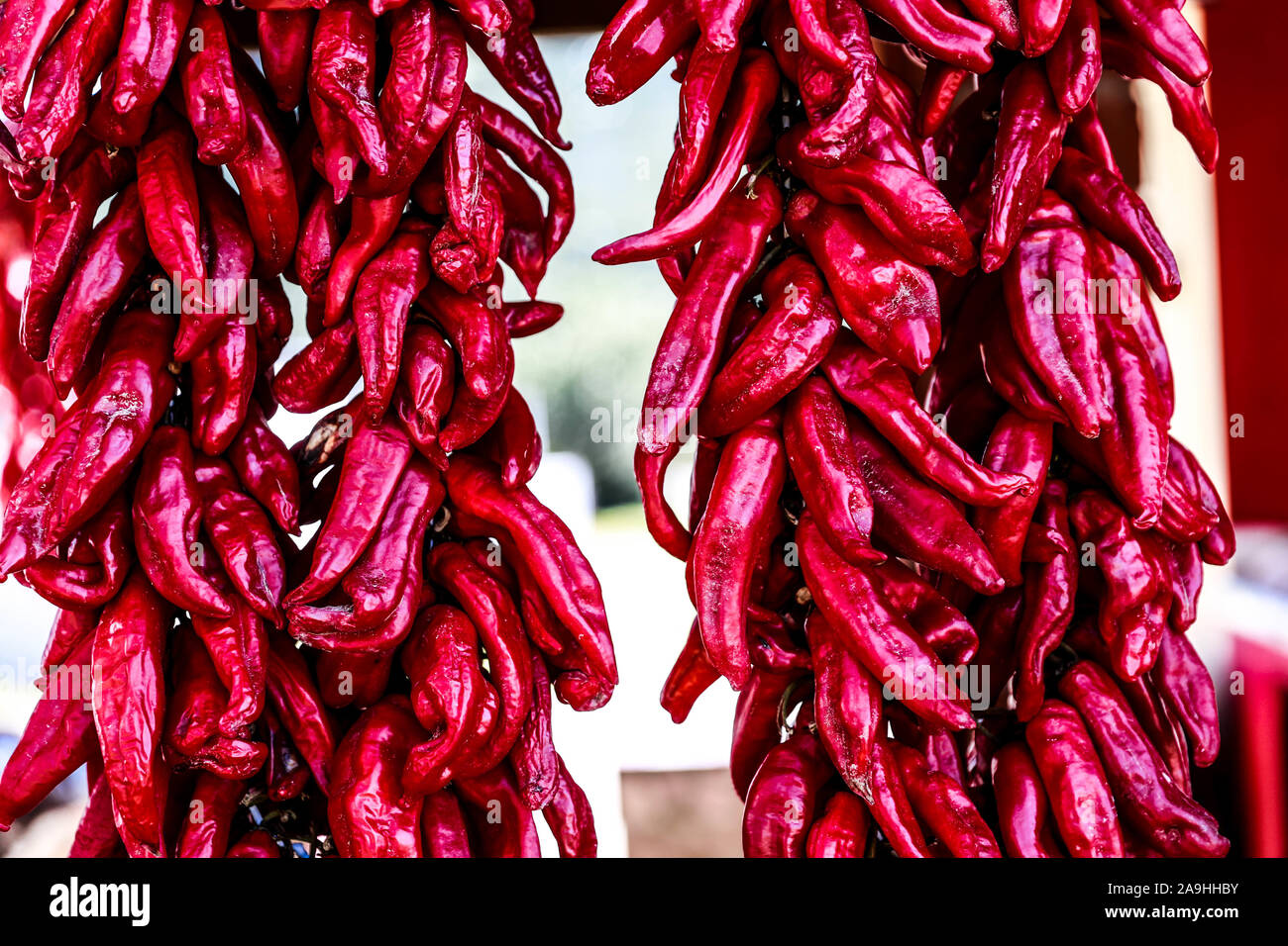Ristras of red chile in the town Mazocahui, is part of the route of the Sonora River, Mexico. Gastronomy and Sonoran tradition. food, vegetables, red, enchiloso, © (© Photo: LuisGutierrez / NortePhoto.com)  Ristras de chile colorado en el pueblo Mazocahui, forma parte de la ruta del Río Sonora, Mexico. Gastronomía y tradición sonorense. alimentos, vegetales, color rojo, enchiloso, © (© Photo: LuisGutierrez / NortePhoto.com) Stock Photo