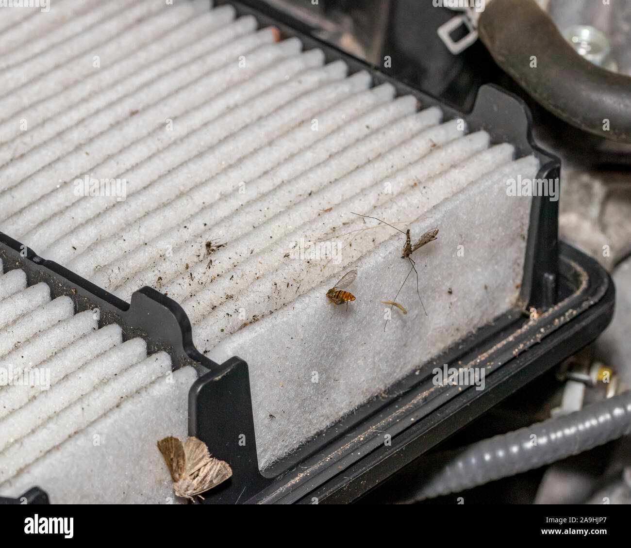 Clogged air on sale filter car