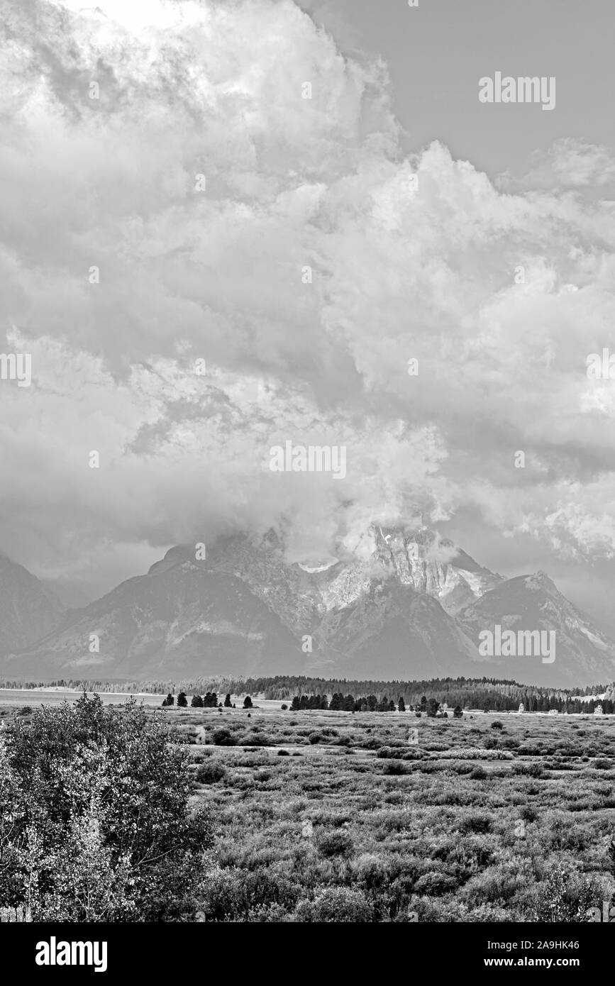 Autumn meadows and trees with lake and Grand Tetons beyond under skies with large white fluffy clouds. Stock Photo
