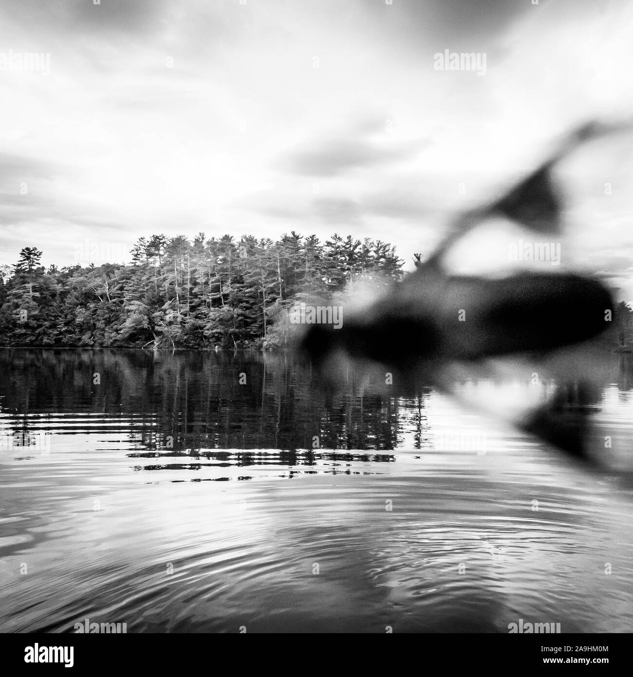 views of flying pond while kayaking, Mt Vernon, Maine Stock Photo