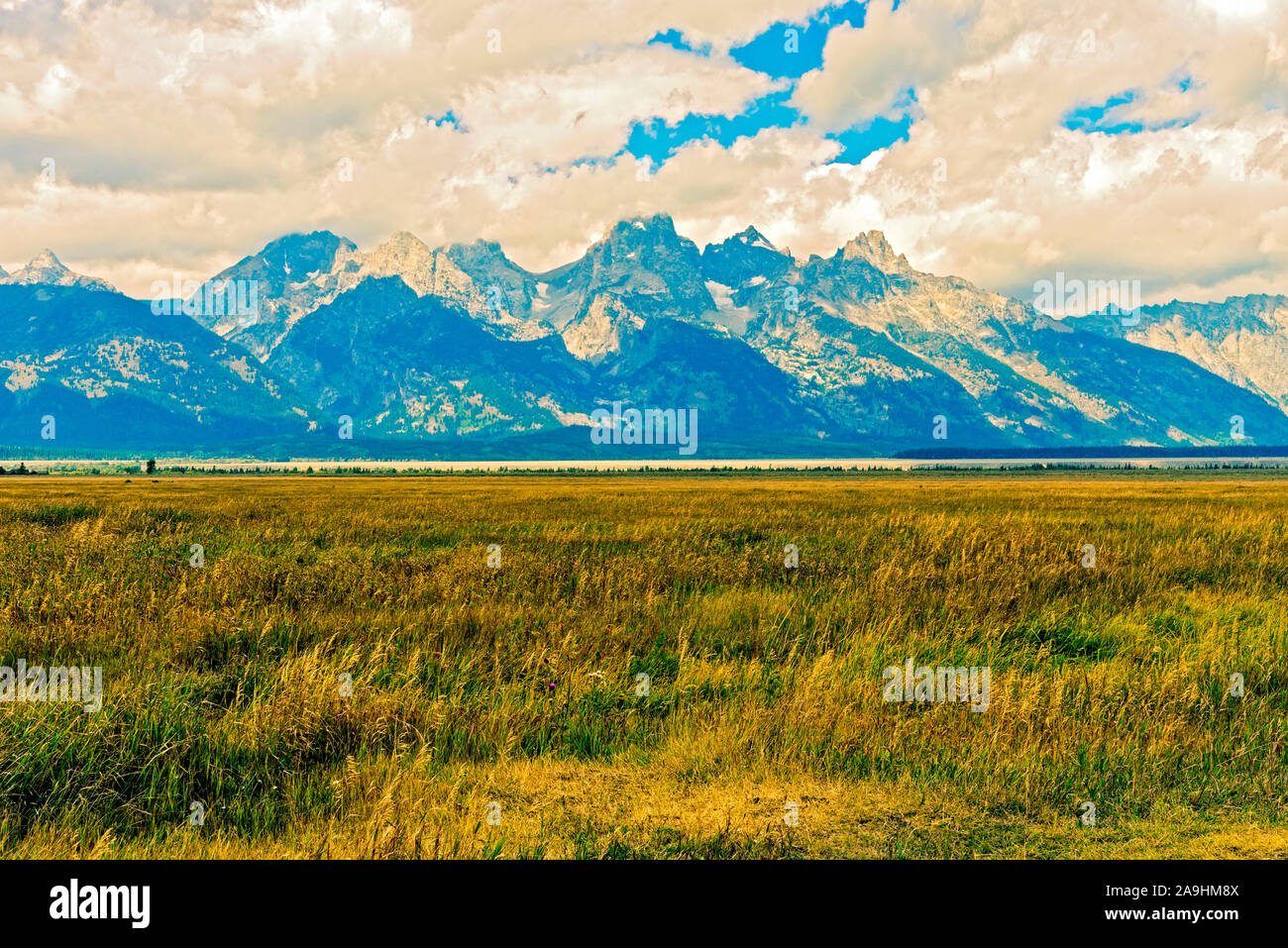 Grassy fertile valley with tall Rocky Mountains beyond under blue skies with white fluffy clouds. Stock Photo