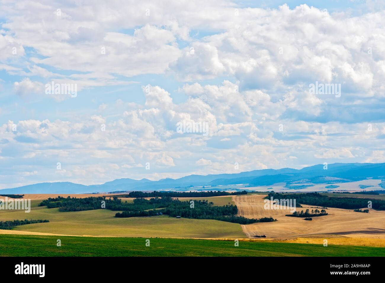 Gold and green fields of farmland with hazy mountains beyond under blue skies with white fluffy clouds. Stock Photo
