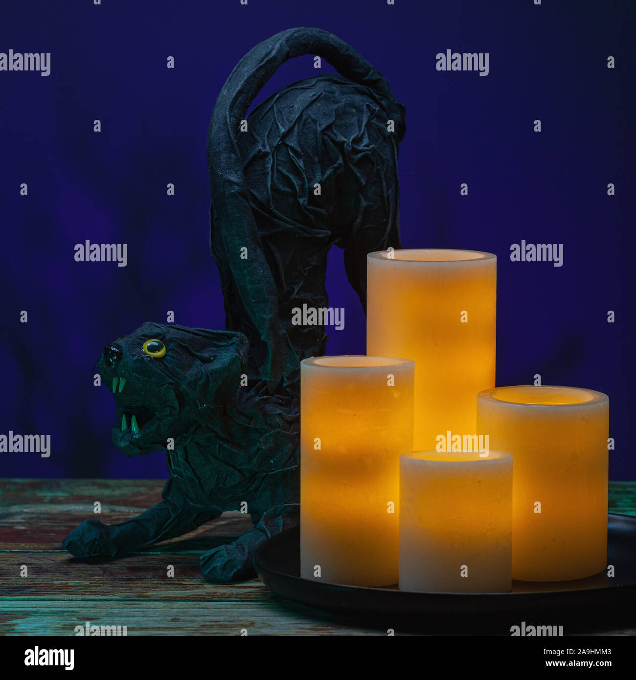 Scary cat hires stock photography and images Alamy