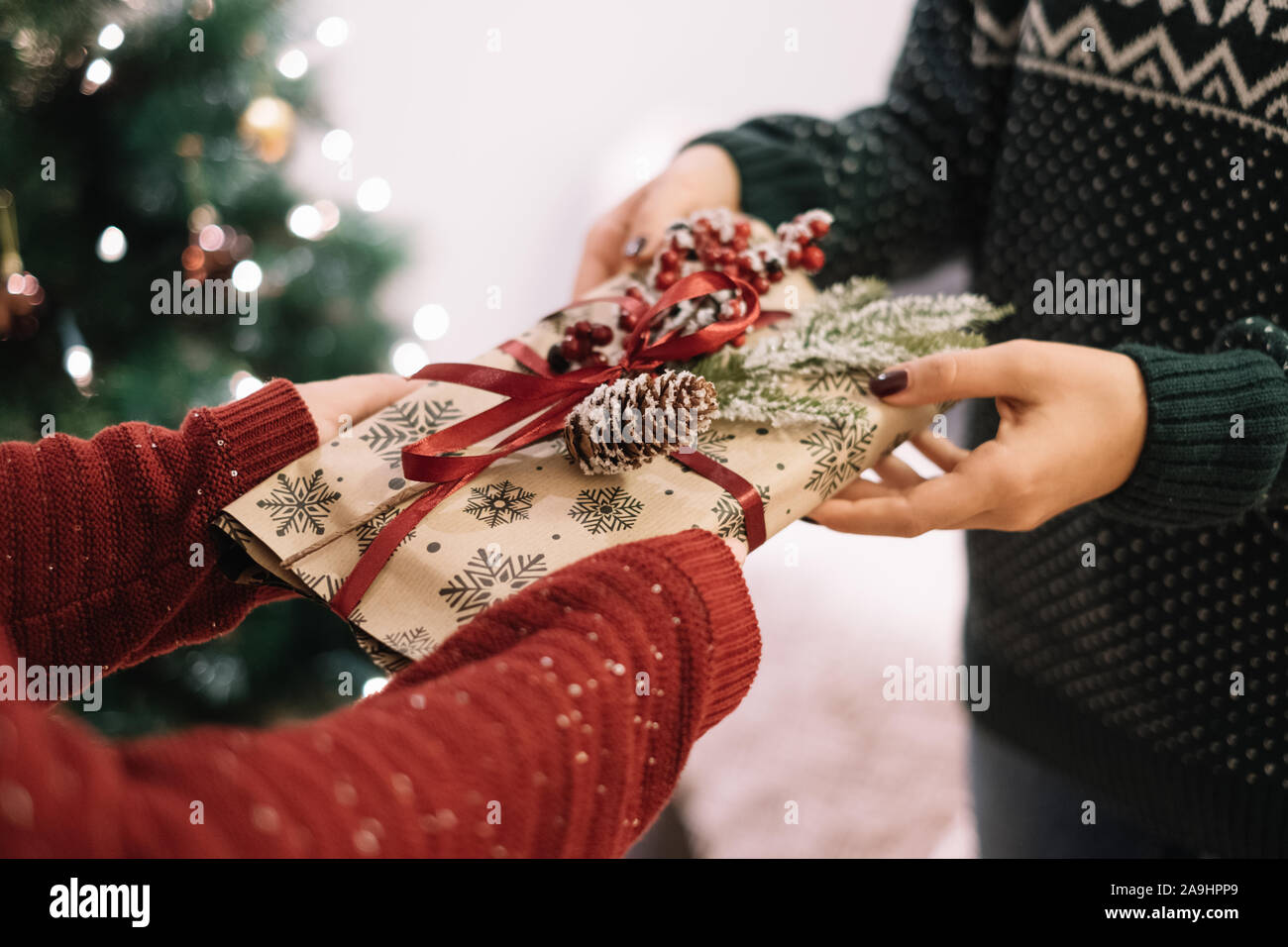 Premium Photo  Closeup on mature hands exchanging a christmas
