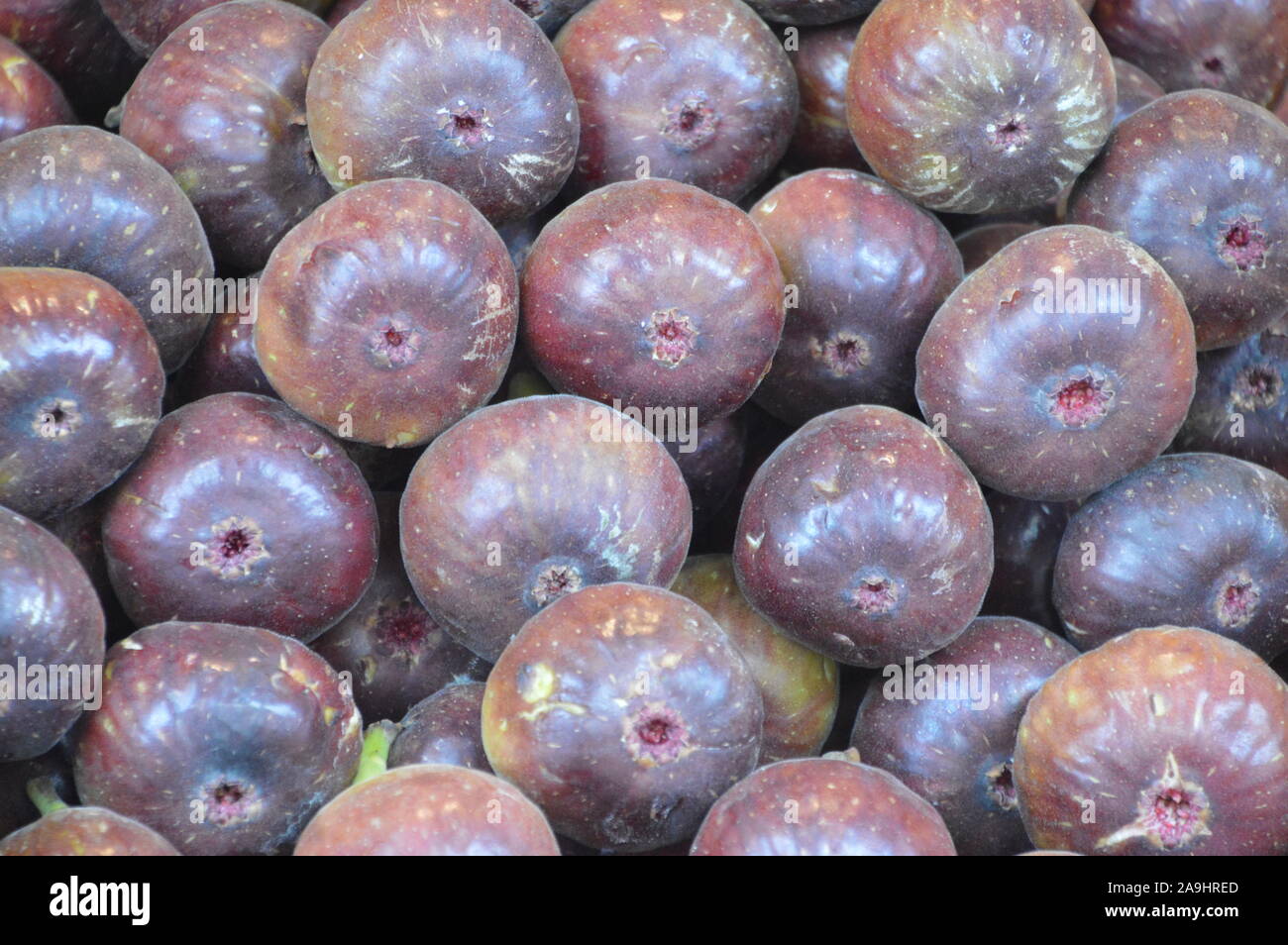 beautiful fresh and tasty fruits of ficus carica Stock Photo
