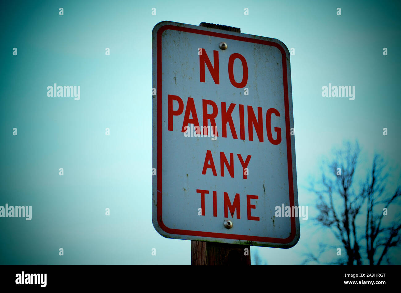 No parking anytime sign Stock Photo - Alamy