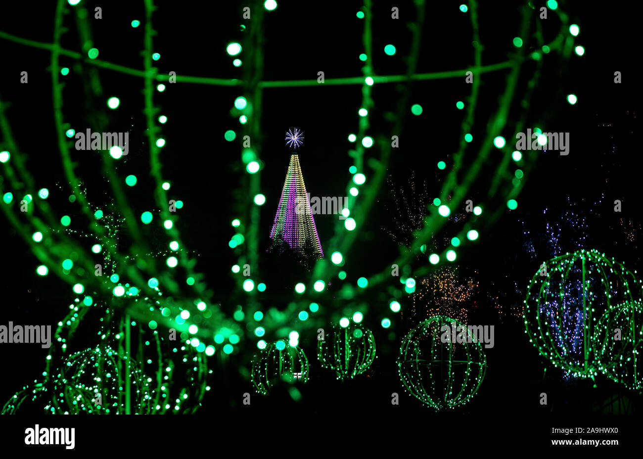 Winter Lights at North Carolina Arboretum - Asheville, North Carolina, USA Stock Photo