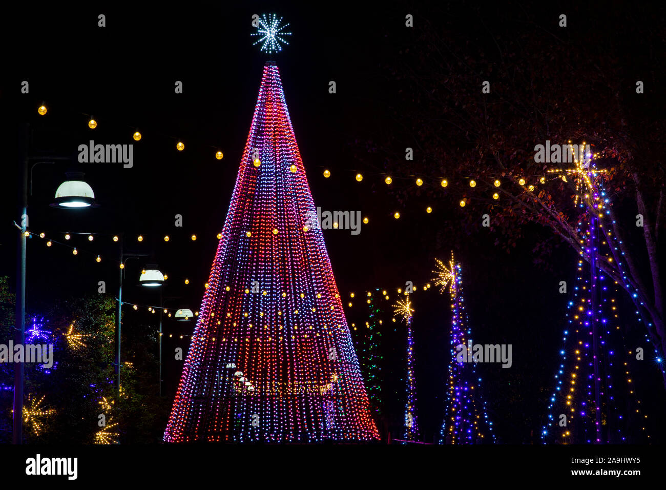 Illuminated Christmas Tree at Winter Lights event at the North Carolina Arboretum - Asheville, North Carolina, USA Stock Photo