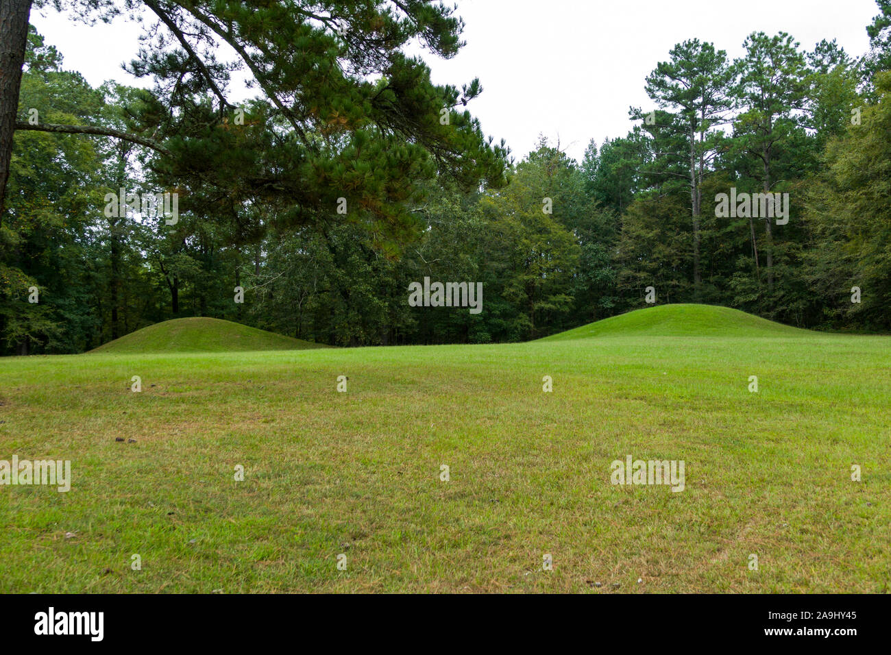 Bear Creek Mound on the Natchez Trace Parkway Mississippi MS also known ...
