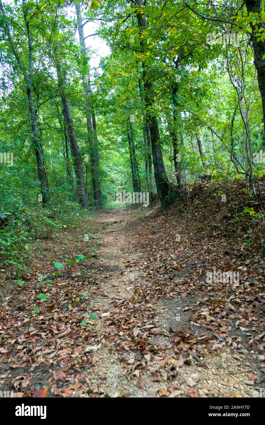 Original Old Trace trail on the Natchez Trace Parkway Mississippi MS  also known as the 'Old Natchez Trace', is a historic forest trail within the Uni Stock Photo