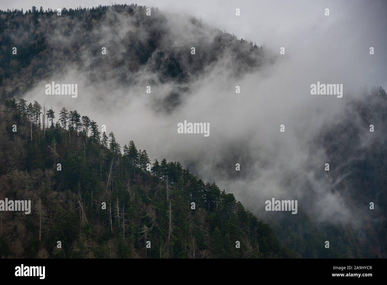 Cloud On Ridges Thick Cloud Breaks Passes Between Two Ridges in the Smoky Mountains ...