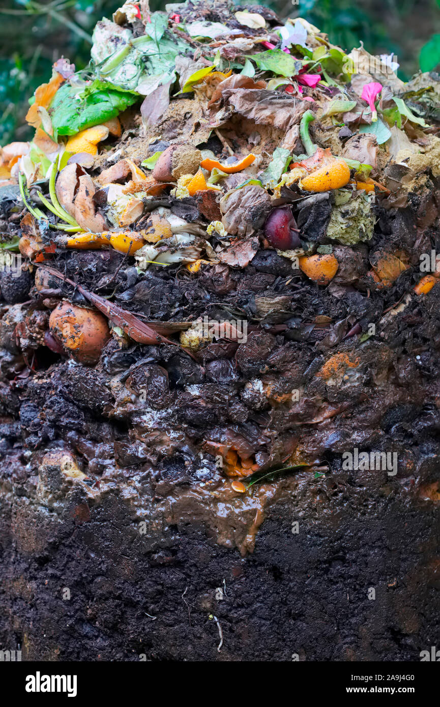 The Degradation Profile In A Conical Domestic Compost Bin With The Bin Caredfully Removed Turning Compost Back Into The Bin And Removing The Most Co Stock Photo Alamy