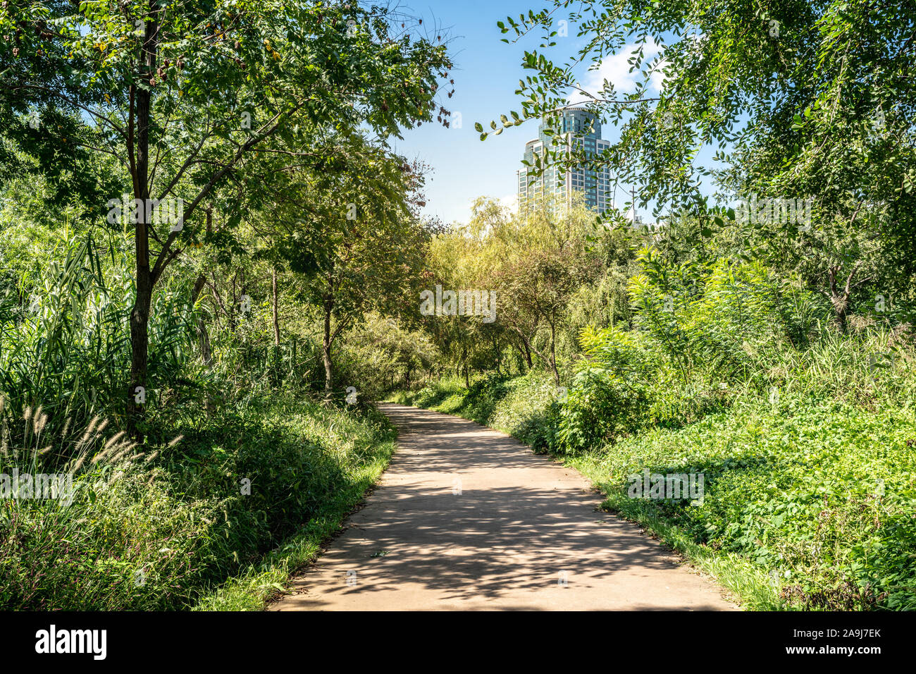 Yeongdeungpo ecological circular walkway path view of Yeouido Saetgang Ecological Park in Seoul South Korea Stock Photo