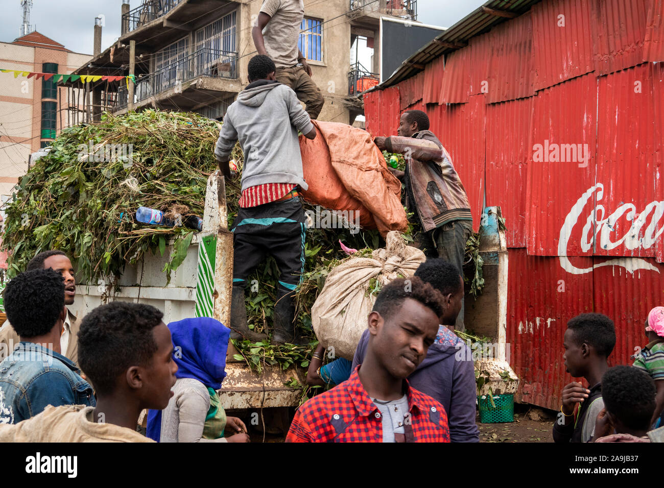 Ethiopia, East Hararghe, Harar, market on Awash Assab Highway, crowd around men unloading truck of Khat Stock Photo