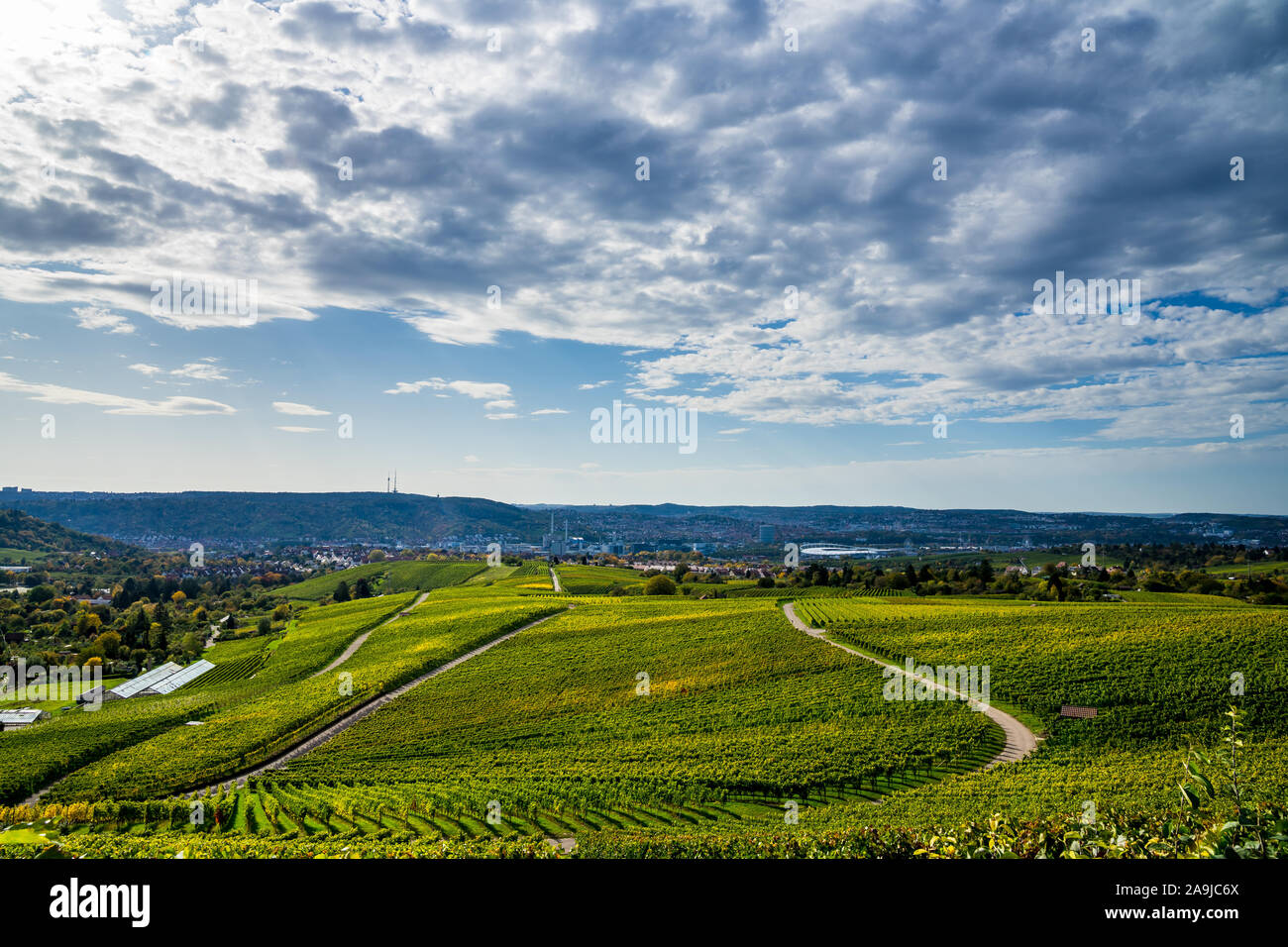 Stuttgart city forest in autumn hi-res stock photography and images - Alamy