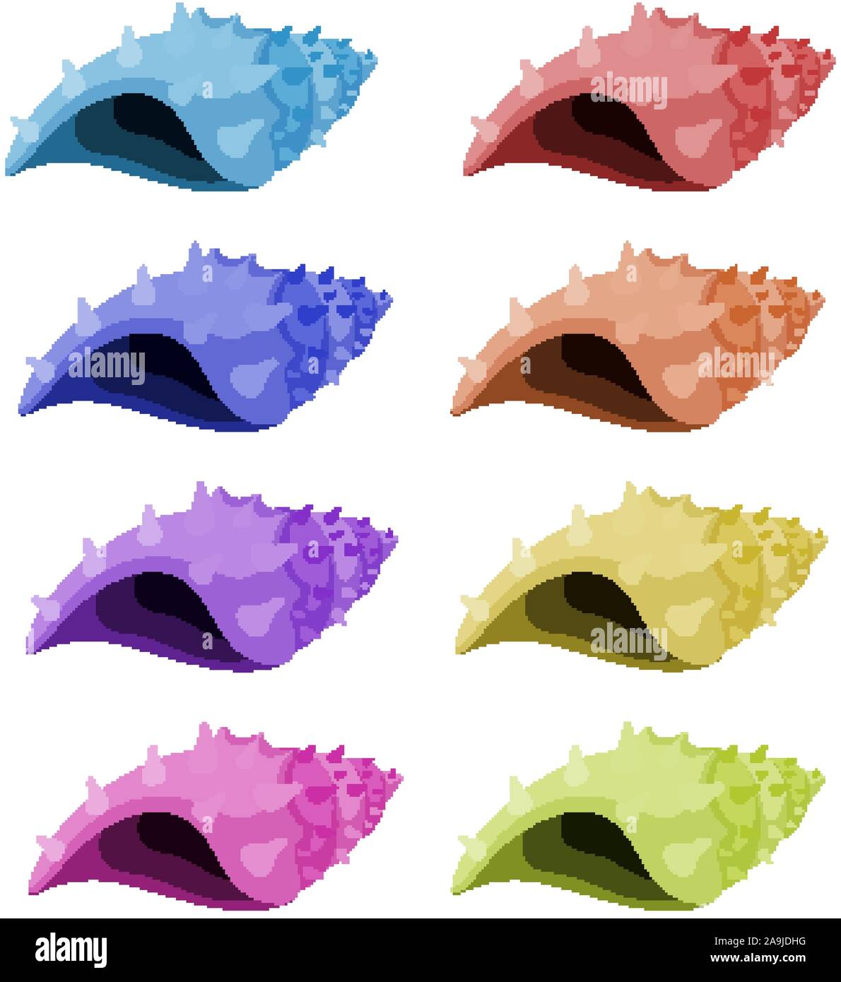Set of isolated set of seashells in different colors illustration Stock ...