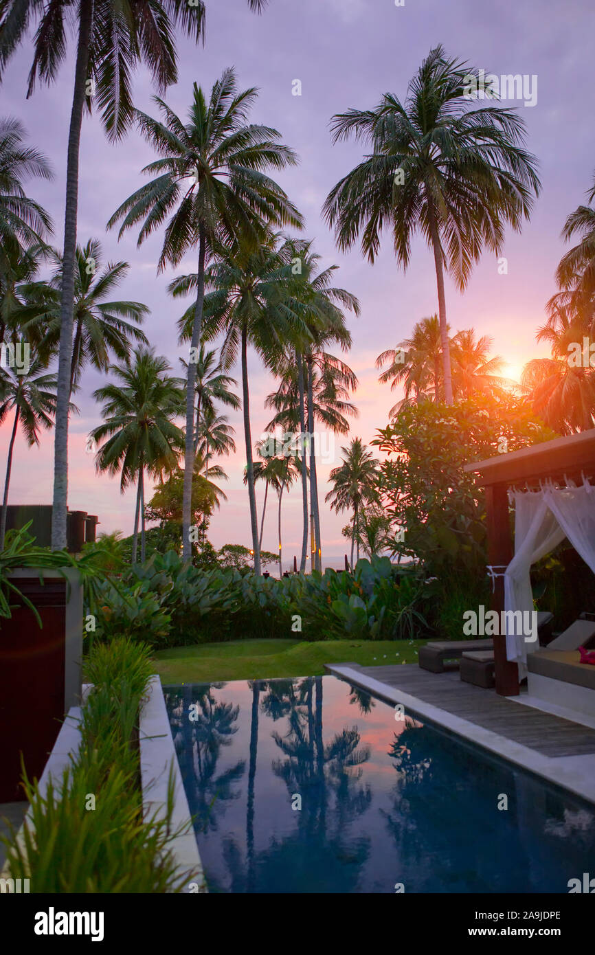 Bali Roses Over Pool palm trees over the pool at sunset. Indonesia. Bali Stock Photo - Alamy