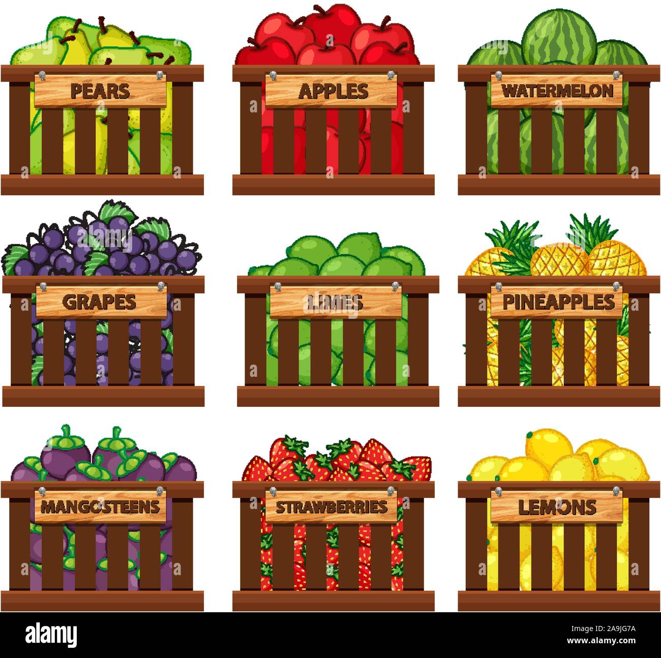 Nine types of fruits in wooden baskets illustration Stock Vector Image