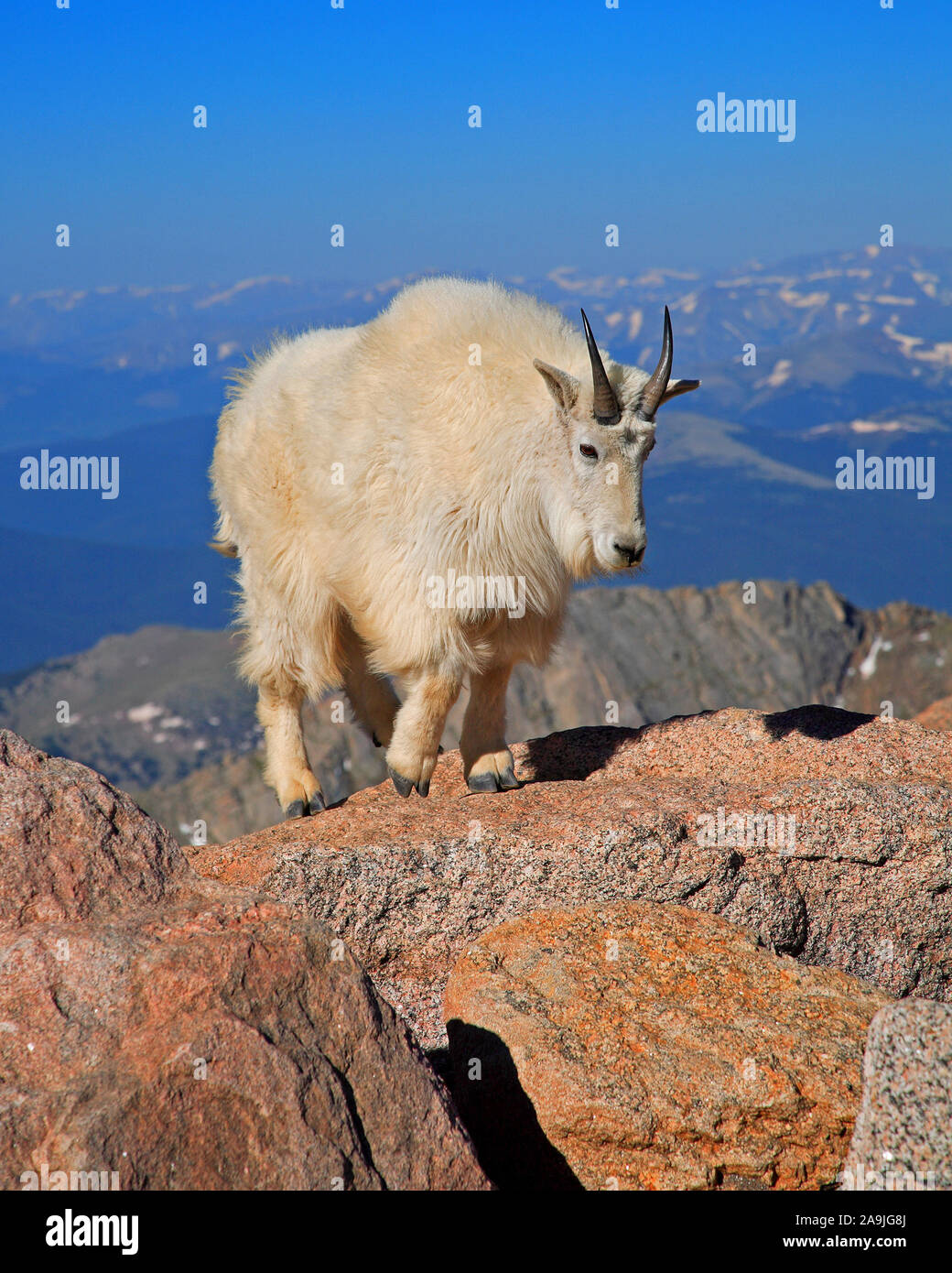 Colorado Wyoming Stock Photos Colorado Wyoming Stock Images Alamy