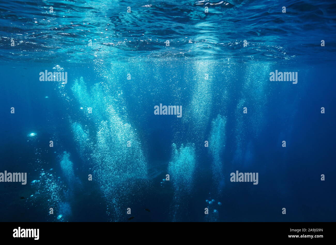 Air bubbles underwater sea rising to water surface, natural scene, Mediterranean, France Stock Photo
