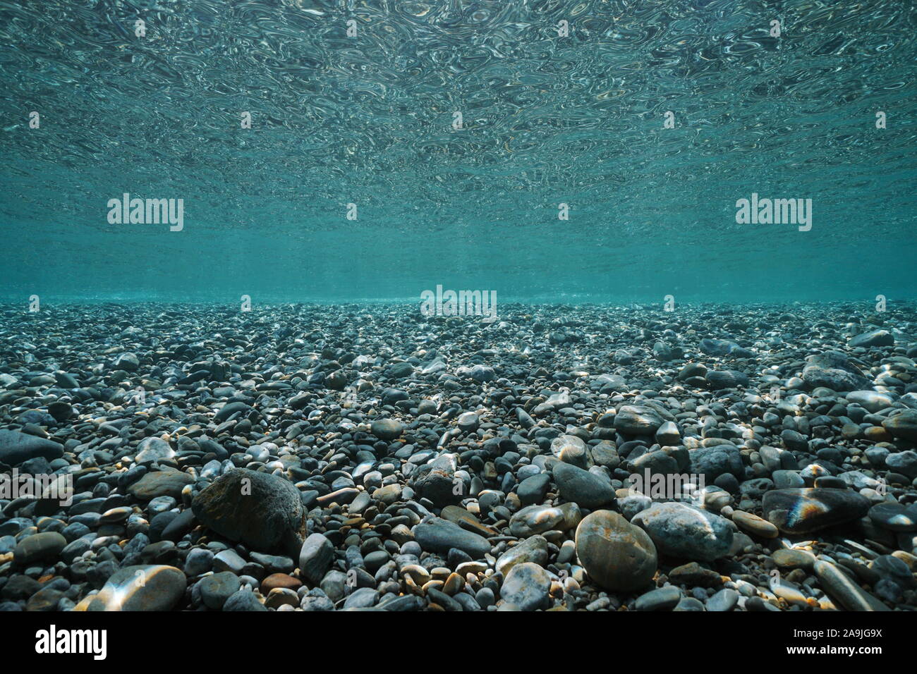 Pebbles rocks underwater below sea surface in shallow water, natural scene, Mediterranean, France Stock Photo