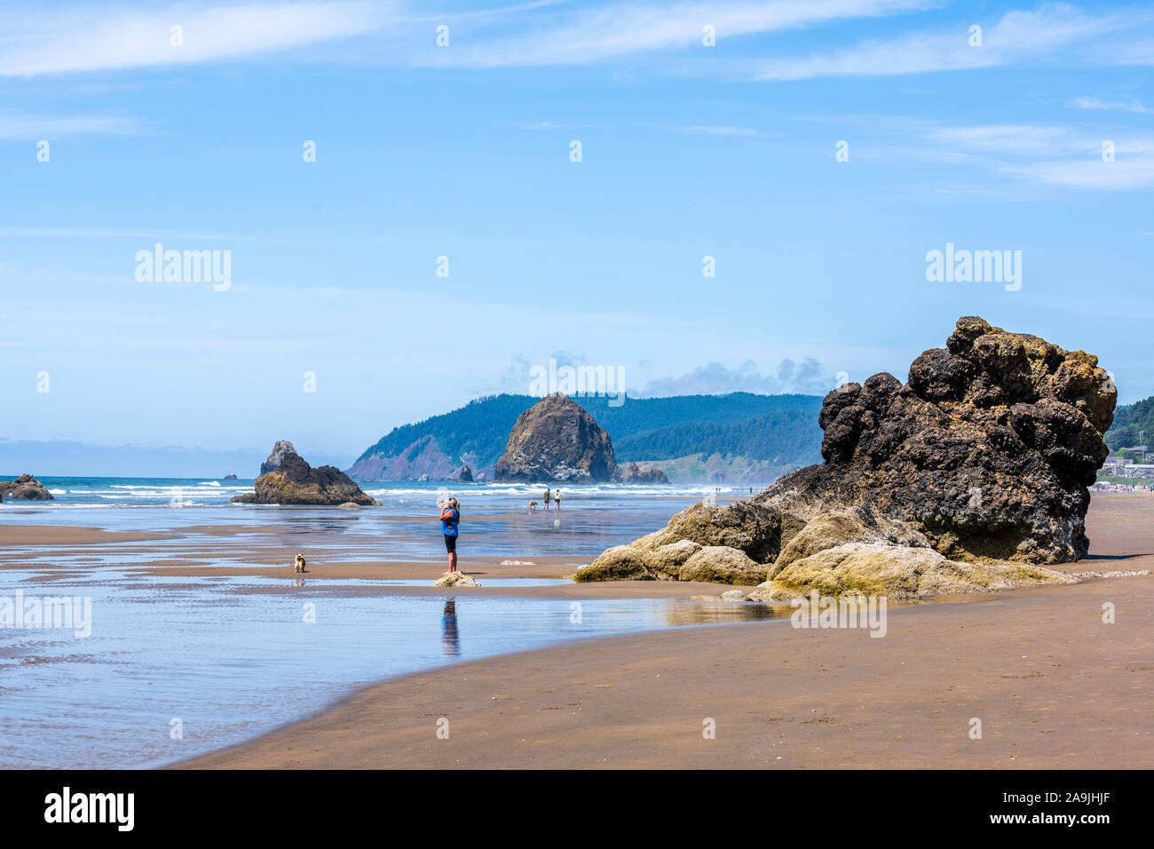 Woman with a dog and other people are walking on the waterline in the Northwest of the Pacific ocean coast with fancy rocks sticking out of the water Stock Photo
