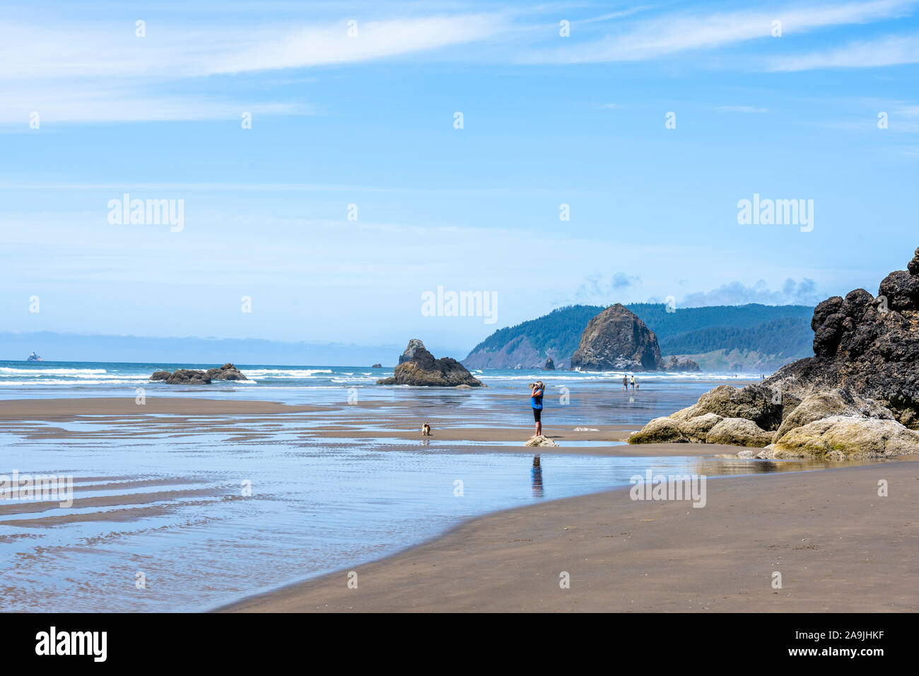 Woman with a dog and other people are walking on the waterline in the Northwest of the Pacific ocean coast with fancy rocks sticking out of the water Stock Photo