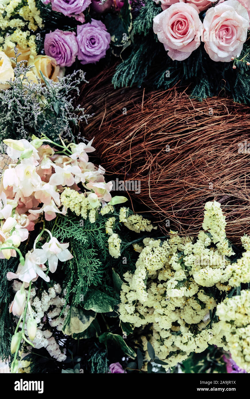 Multi toned flowers hi-res stock photography and images - Alamy