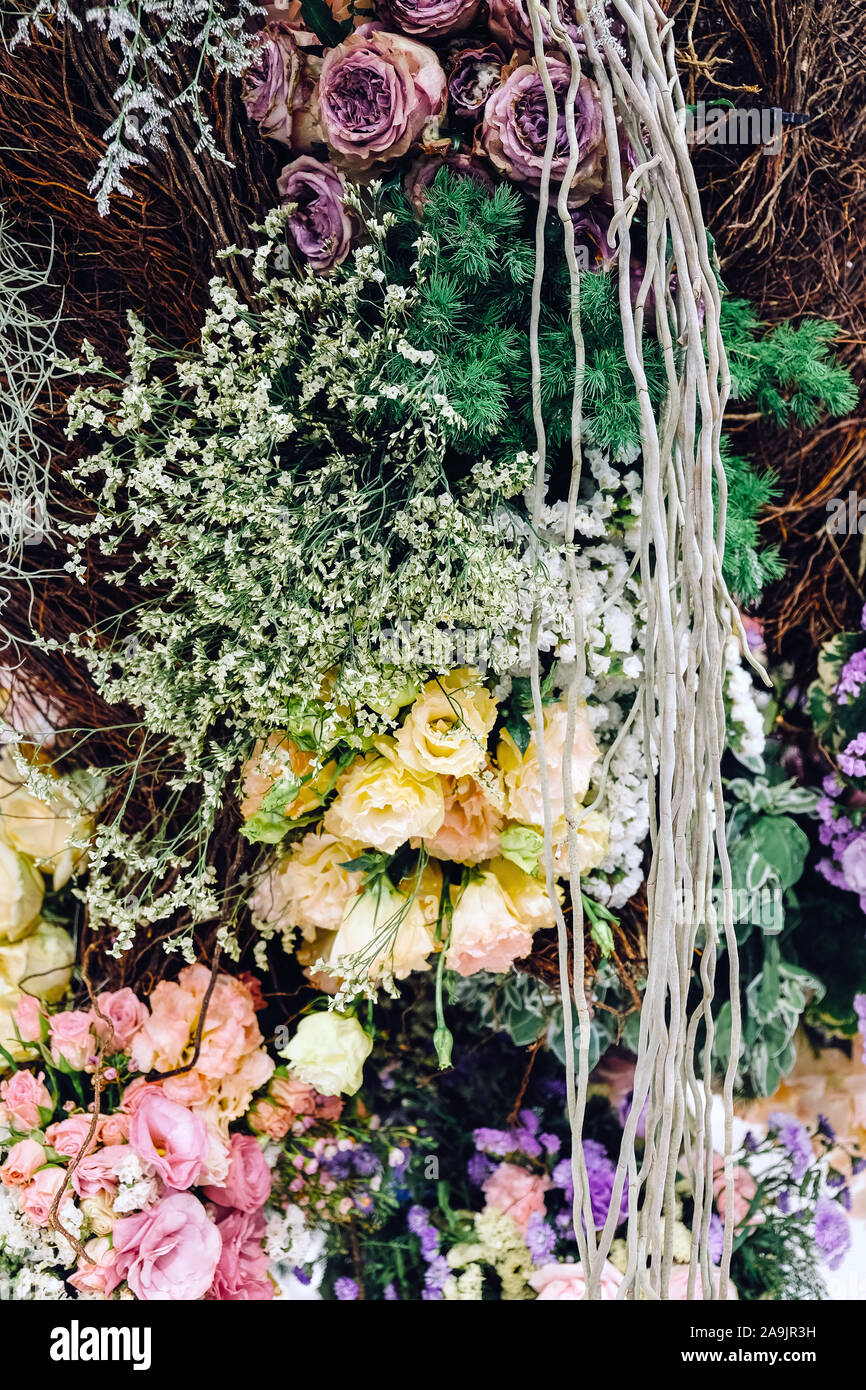 Multi toned flowers hi-res stock photography and images - Alamy