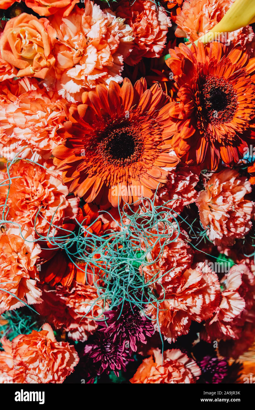 image of Colorful flowers background Stock Photo - Alamy