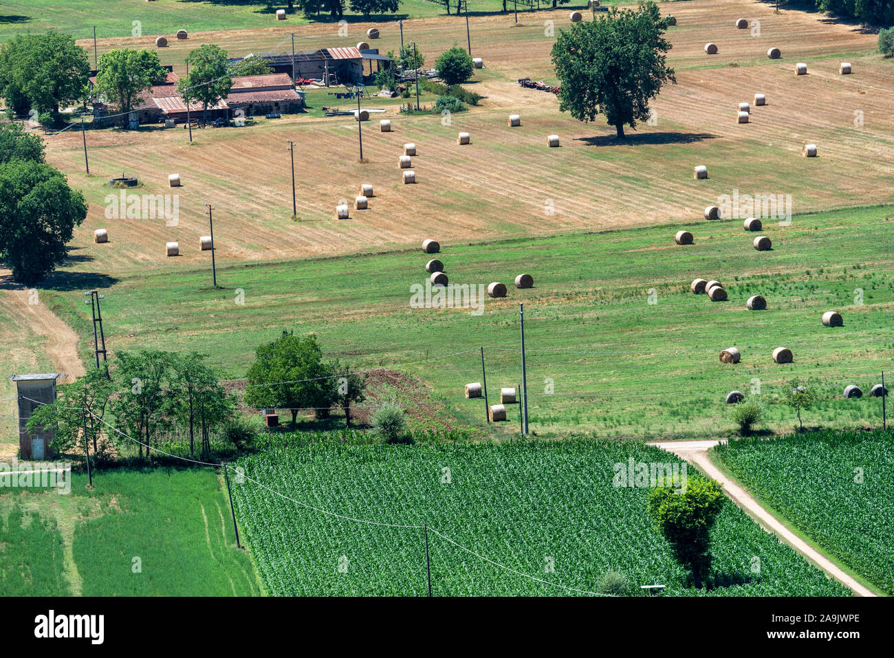 Ciociaria, Frosinone, Lazio, Italy: summer landscape near Roccasecca Stock Photo