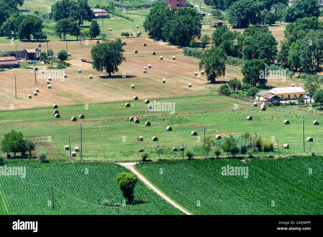 Ciociaria, Frosinone, Lazio, Italy: summer landscape near Roccasecca Stock Photo
