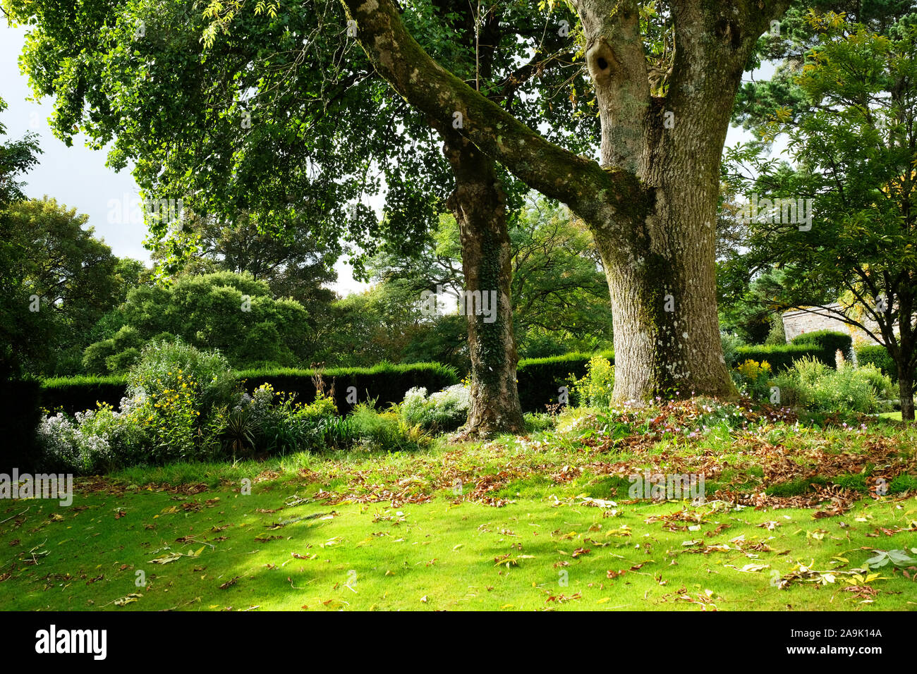 An autumnal English country garden - John Gollop Stock Photo