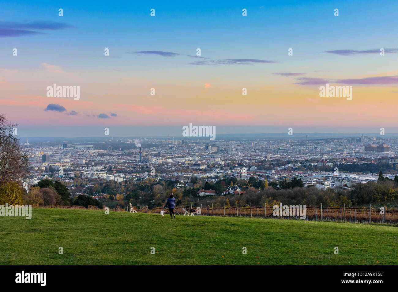 Wien, Vienna vineyard, view from Bellevuewiese to city center in 00