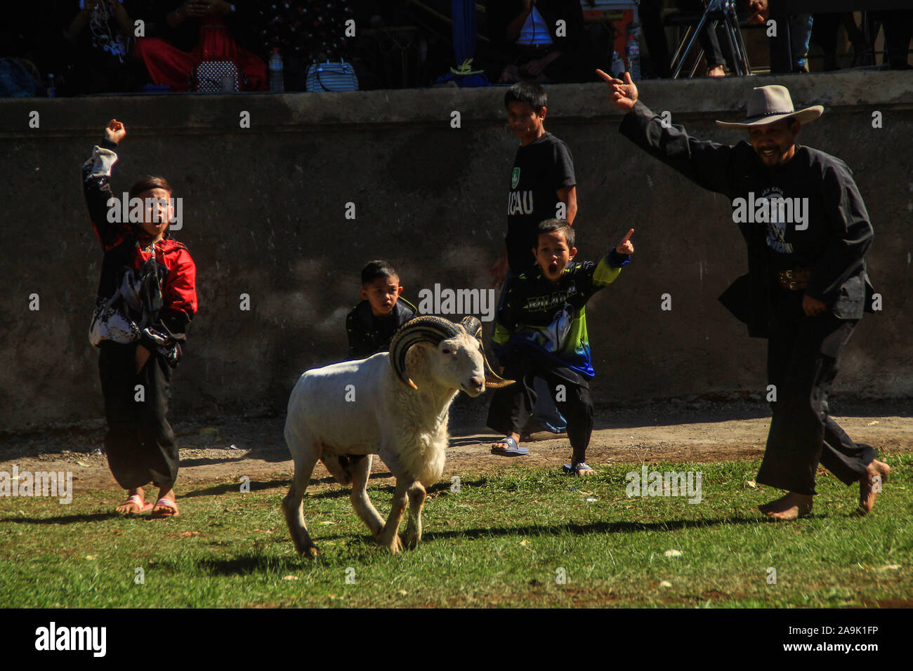 Kids chant slogans during the competition.In Garut culture, fighting sheep is part the art of dexterity which is tradition. Garut sheep have special characteristics as sheep for agile fighting. Like most animals for raising garut sheep requires special treatment. Garut sheep have a more muscular physique than sheep in general average weight is 60Kg - 80Kg with strong and circular horn. Stock Photo