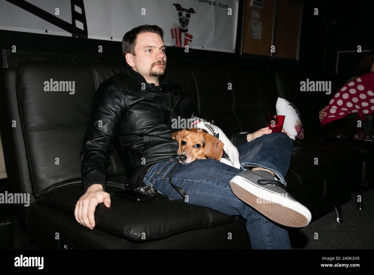 are-dogs-allowed-in-stores-in-texas