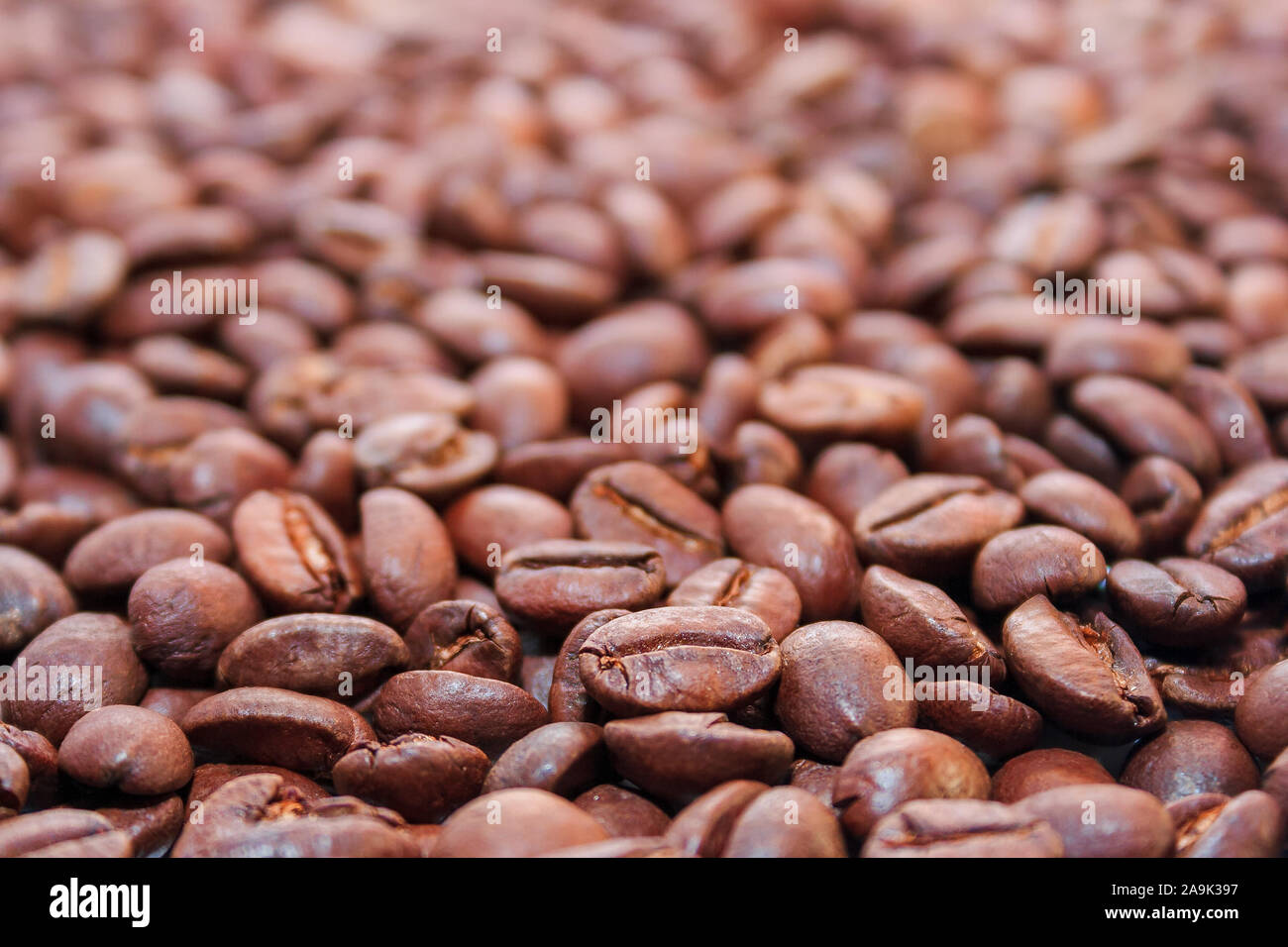 roasted coffee beans background. arabica and robusta mix. shallow depth of field Stock Photo