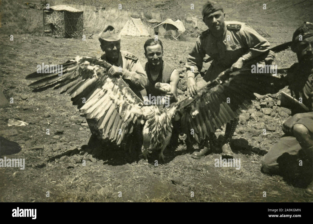 Italian soldiers with a great vulture killed by them (wingspan m. 2.40) Stock Photo