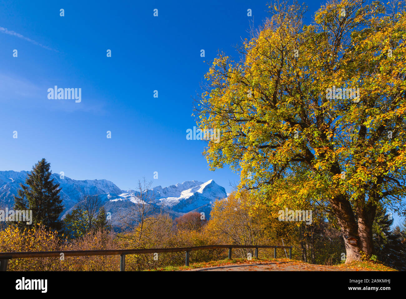 Alpine landscape with coloured trees and white snowy mountains in the background Stock Photo