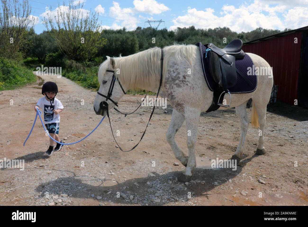 Child Leading Horse Stock Photo