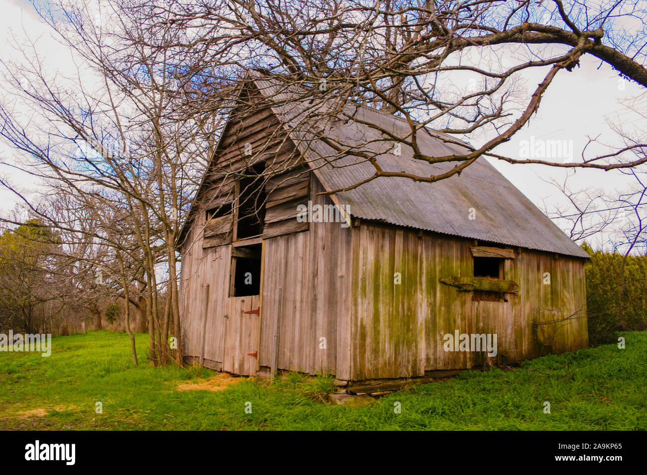 Abandoned Old Haunted Barn, Tasmania Australia Stock Photo Alamy